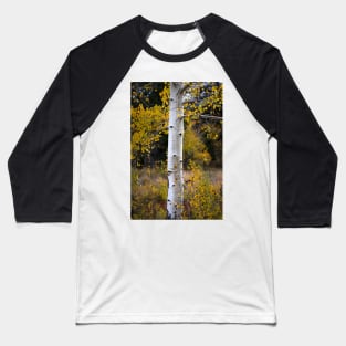 Aspen Bark Baseball T-Shirt